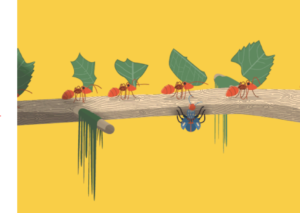 Cotton Plant Disease Detection